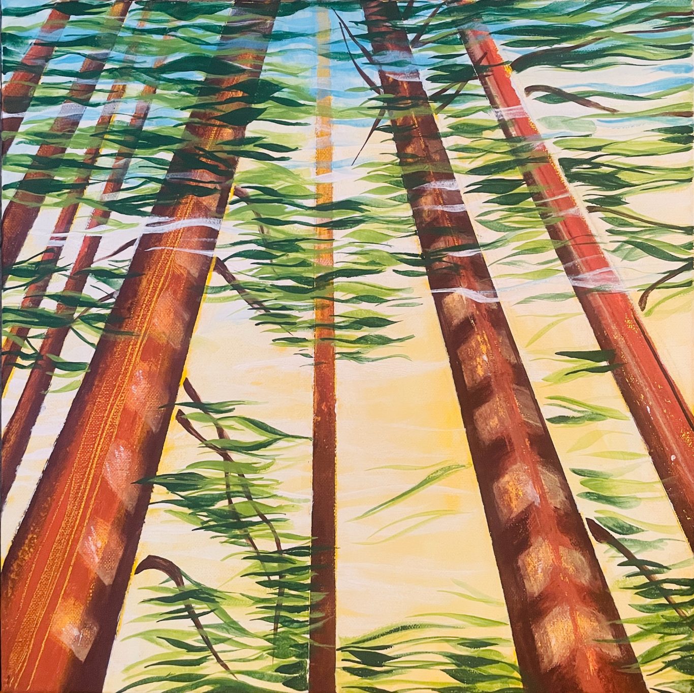 Redwoods