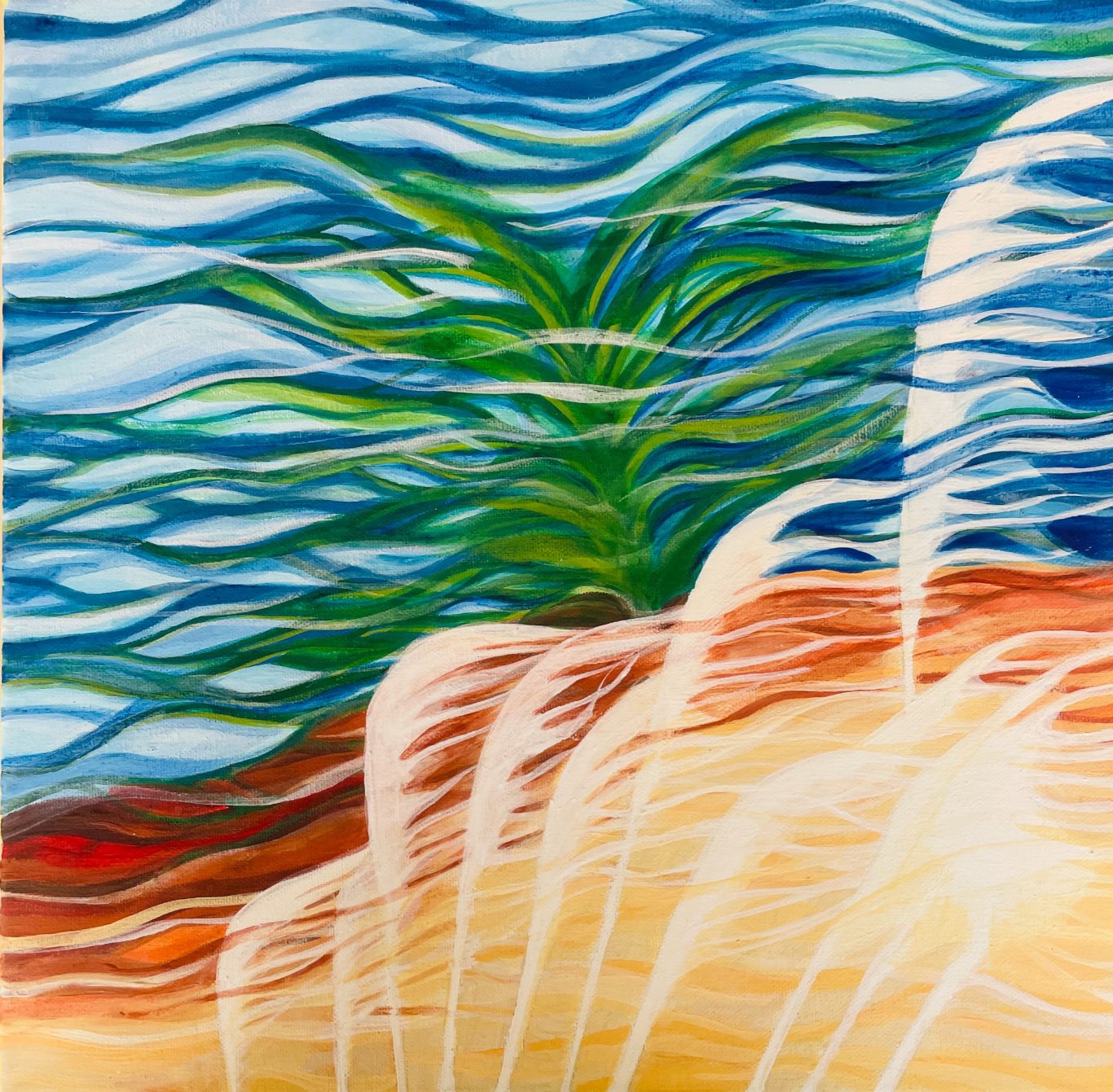 Pampas Grass